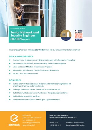 Seite 2 Senior Network und Security Engineer 80-100%