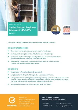 Seite 2 Senior System Engineer Microsoft 80-100%