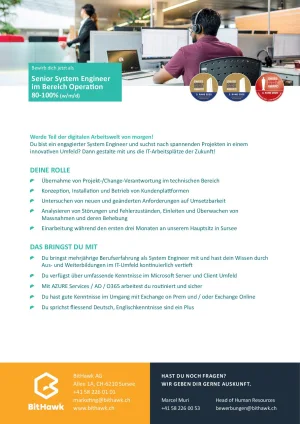 Seite 2 Senior System Engineer im Bereich Operation 80-100%