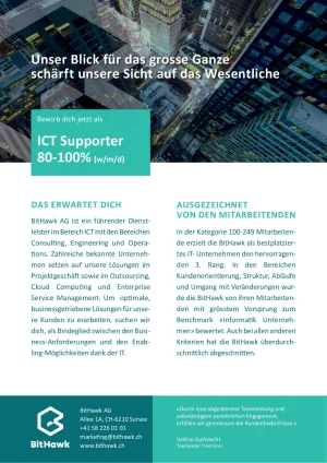 Seite 1 ICT Supporter 80-100%