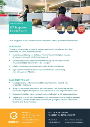 Seite 2 ICT Supporter 80-100%