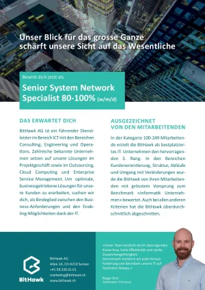 Seite 1 Senior System Network Specialist 80-100%