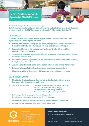 Seite 2 Senior System Network Specialist 80-100%